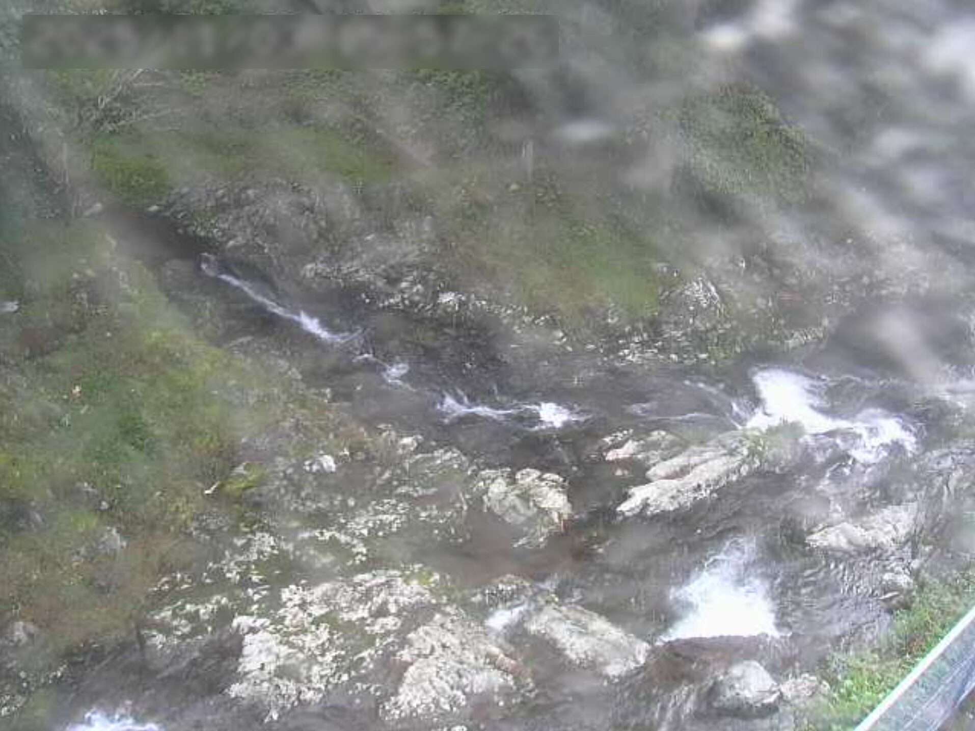 瀧光寺ライブカメラ(奈良県黒滝村)