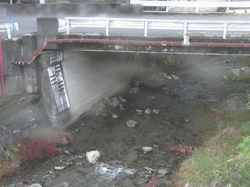 善龍寺ライブカメラ(奈良県黒滝村)