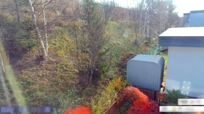 Matsubon稚内ライブカメラ(北海道稚内市)