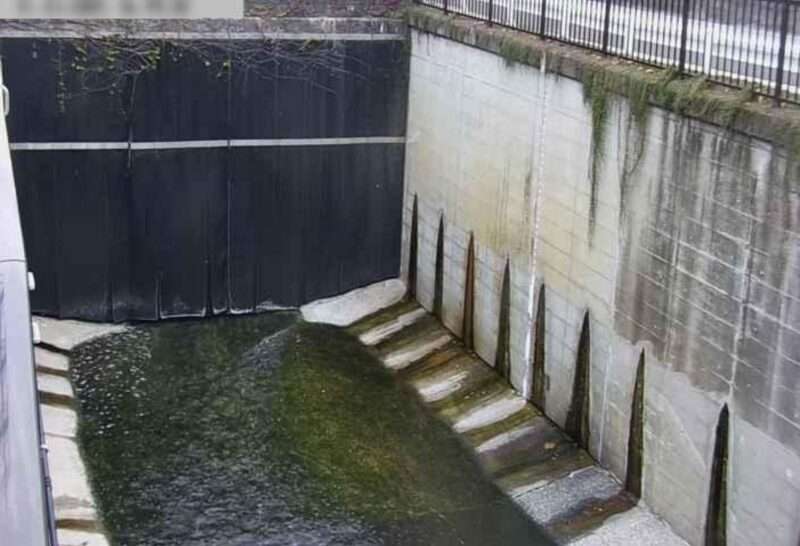 呑川工大橋ライブカメラ(東京都目黒区緑が丘)