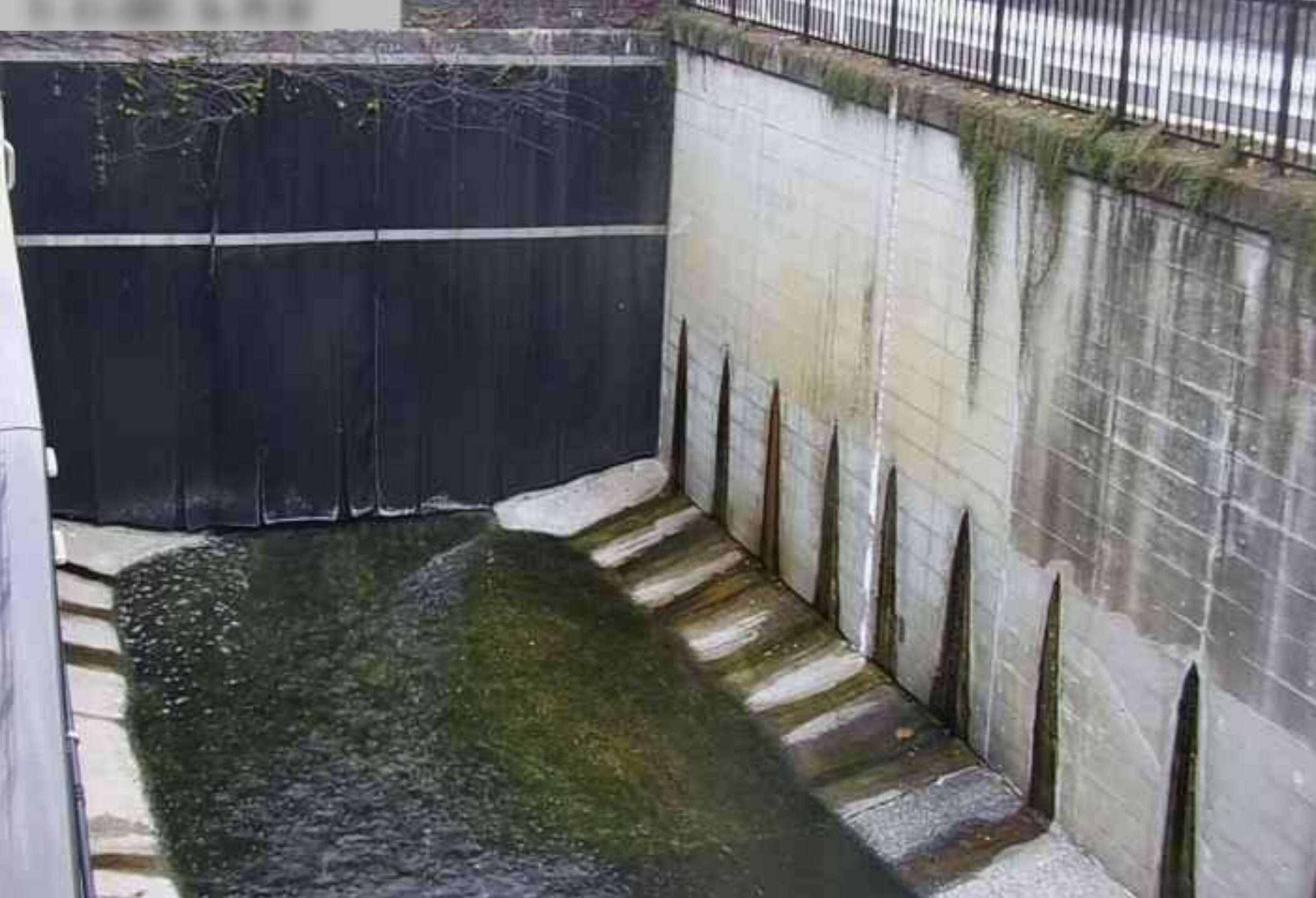 呑川工大橋ライブカメラ(東京都目黒区緑が丘)