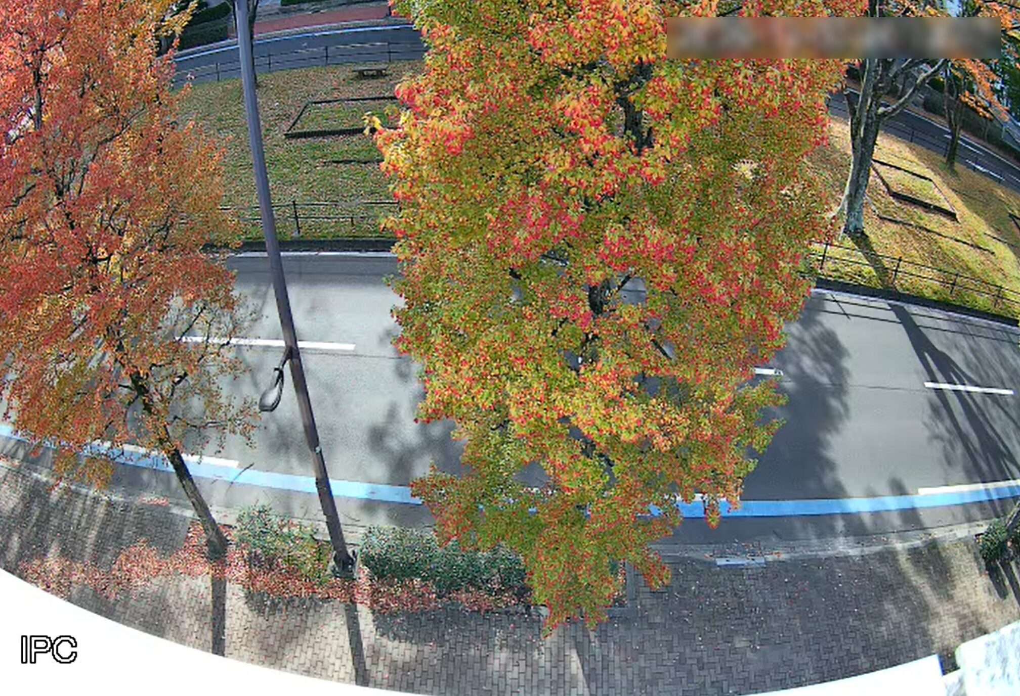 仙台測器社ライブカメラ(宮城県仙台市若林区卸町)