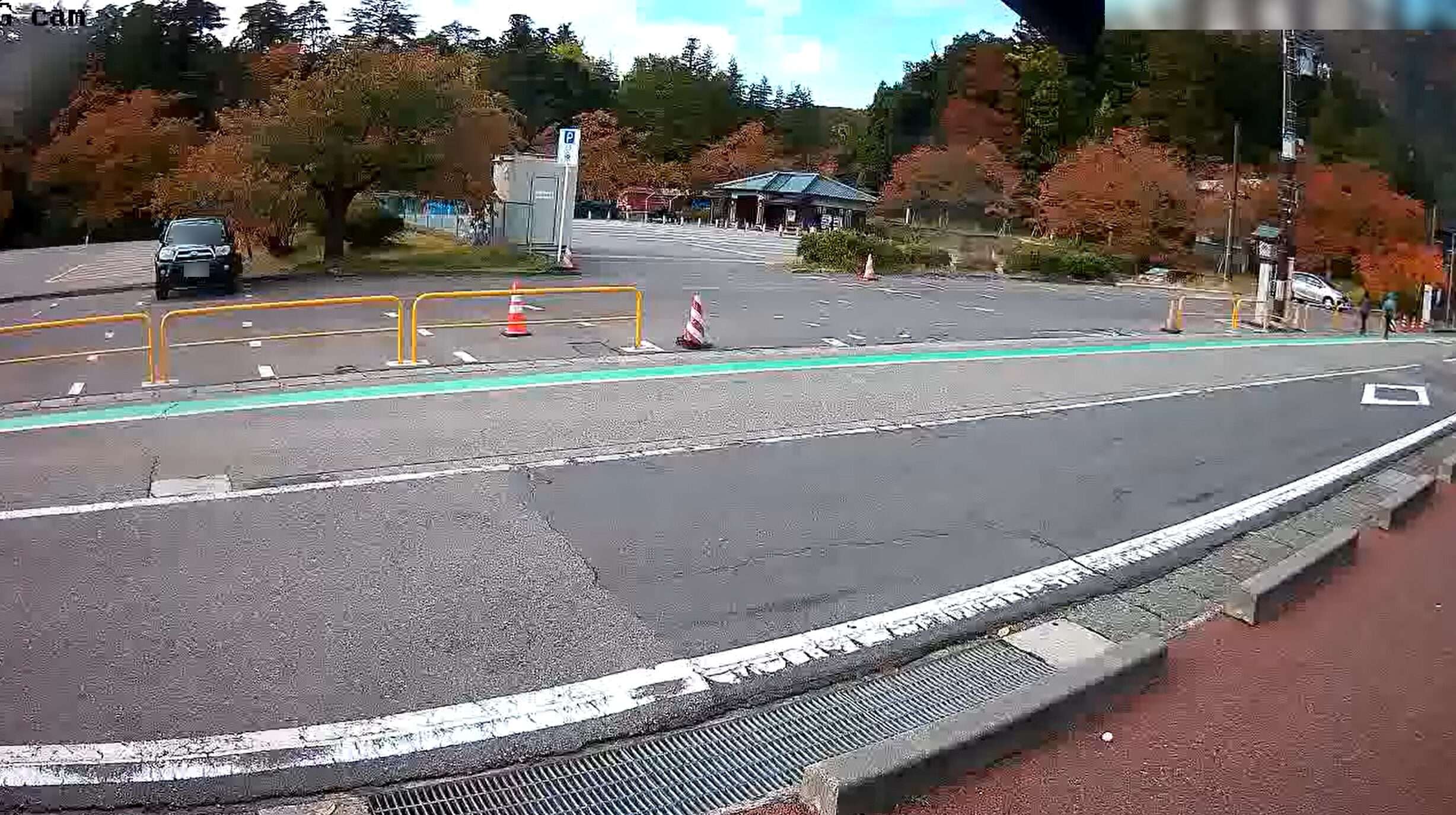 弥彦菊まつりおもてなし広場西ライブカメラ(新潟県弥彦村弥彦)