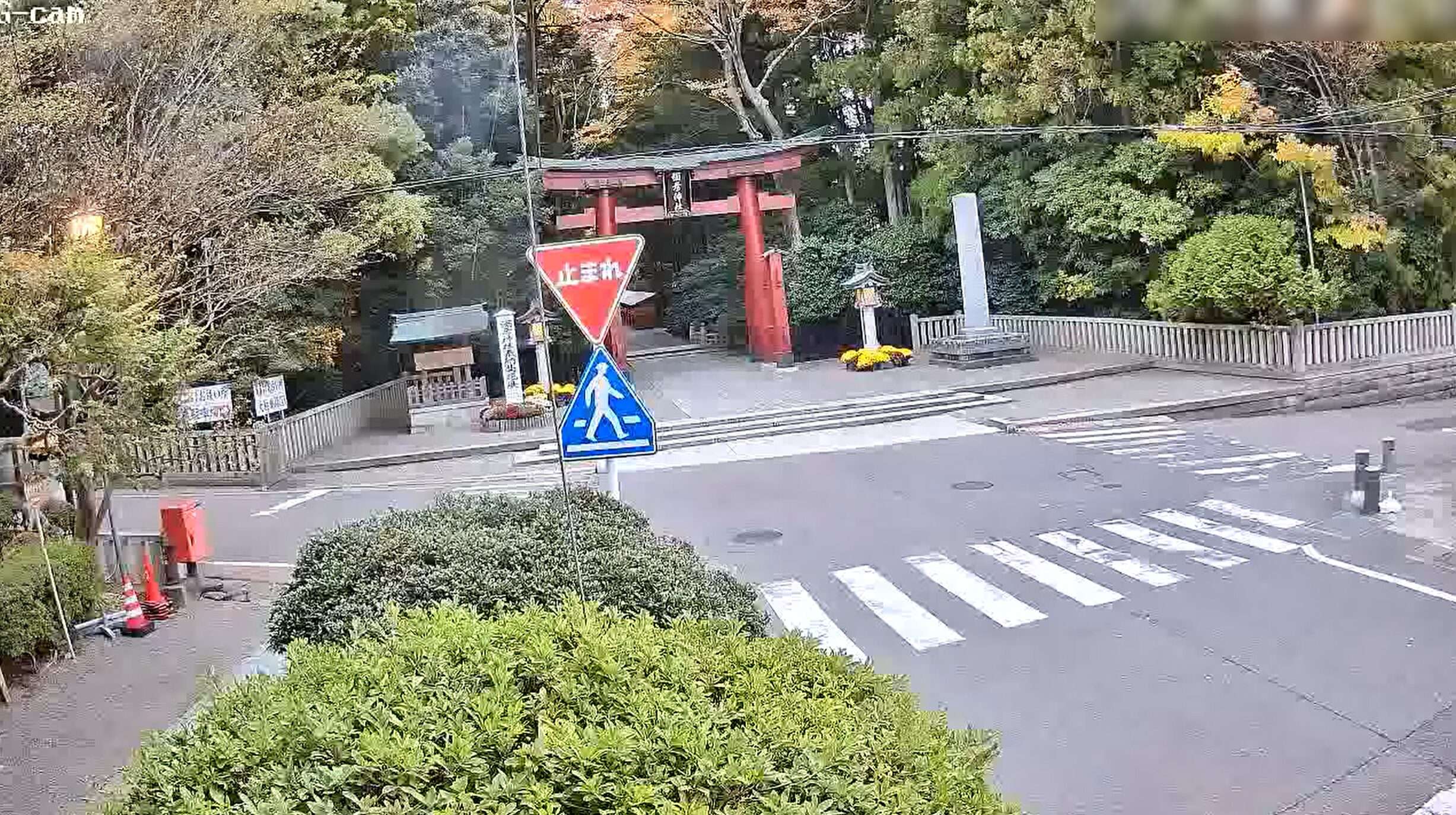 弥彦菊まつり彌彦神社一の鳥居前ライブカメラ(新潟県弥彦村弥彦)