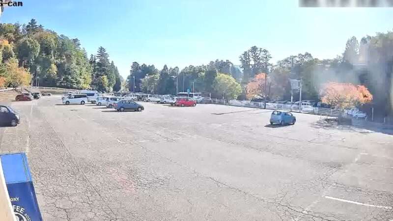 弥彦菊まつり弥彦競輪第5駐車場城山通りライブカメラ(新潟県弥彦村弥彦)