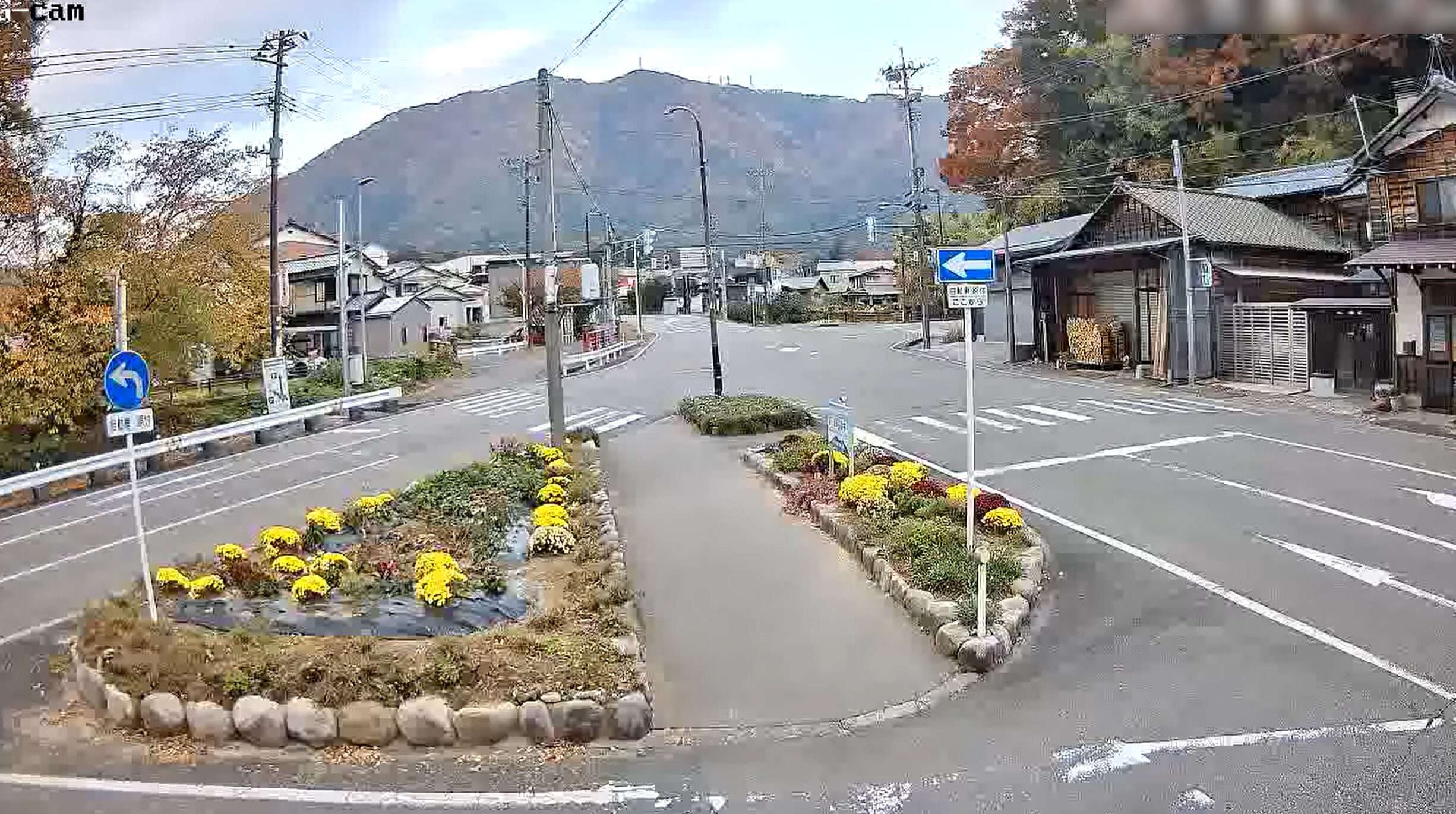 弥彦菊まつり弥彦温泉街入口ライブカメラ(新潟県弥彦村弥彦)
