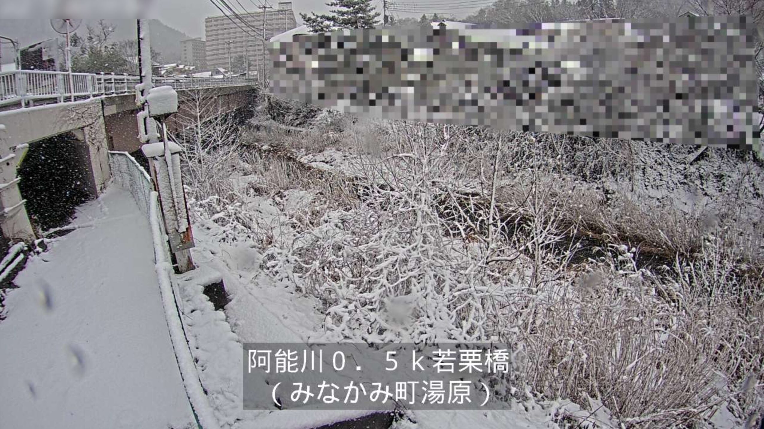 阿能川若栗橋ライブカメラ(群馬県みなかみ町湯原)