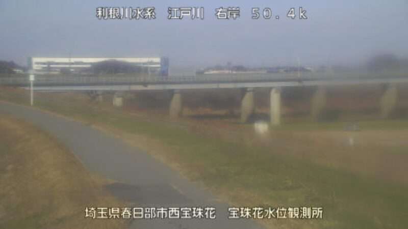 江戸川宝珠花ライブカメラ(埼玉県春日部市西宝珠花)