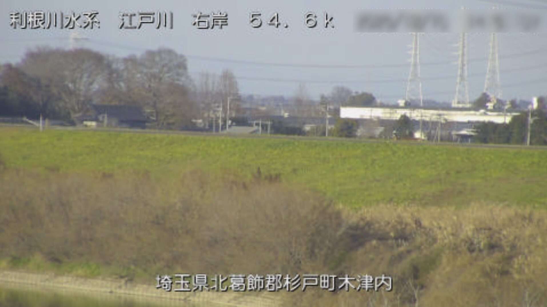 江戸川木津内ライブカメラ(埼玉県杉戸町木津内)