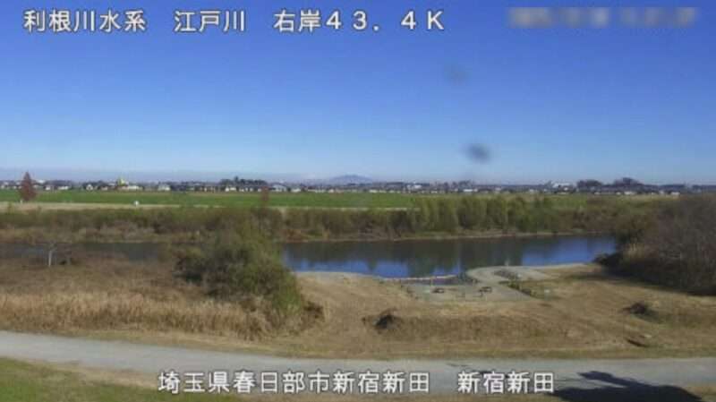 ๆฑๆธๅทๆฐๅฎฟๆฐ็ฐใฉใคใใซใกใฉ(ๅผ็็ๆฅๆฅ้จๅธๆฐๅฎฟๆฐ็ฐ)