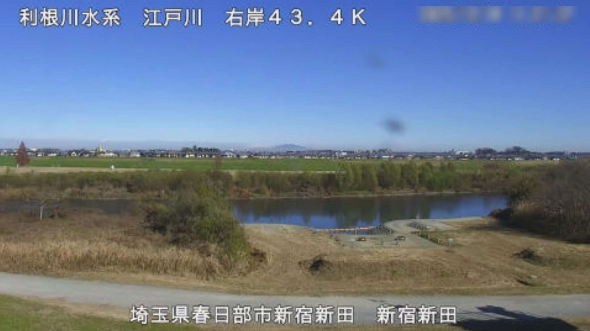 江戸川新宿新田ライブカメラ(埼玉県春日部市新宿新田)