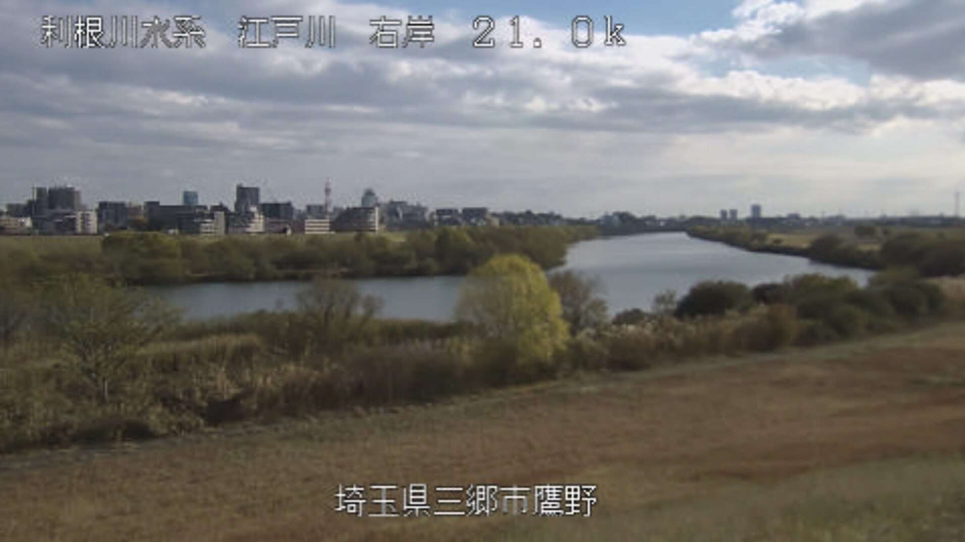 江戸川鷹野ライブカメラ(埼玉県三郷市鷹野)