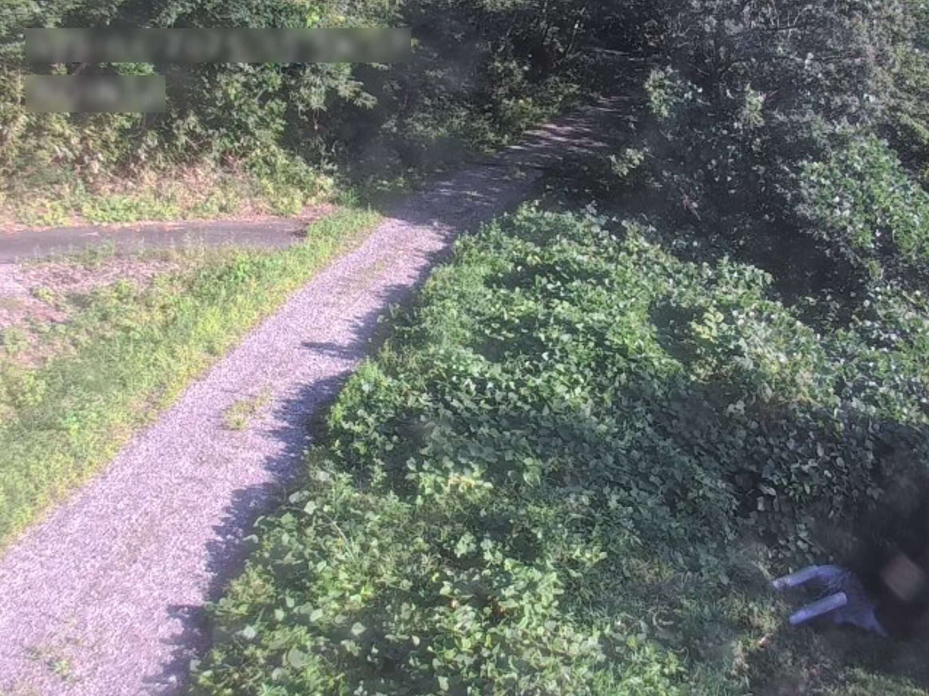 福岡弥治郎北ライブカメラ(宮城県白石市福岡八宮)