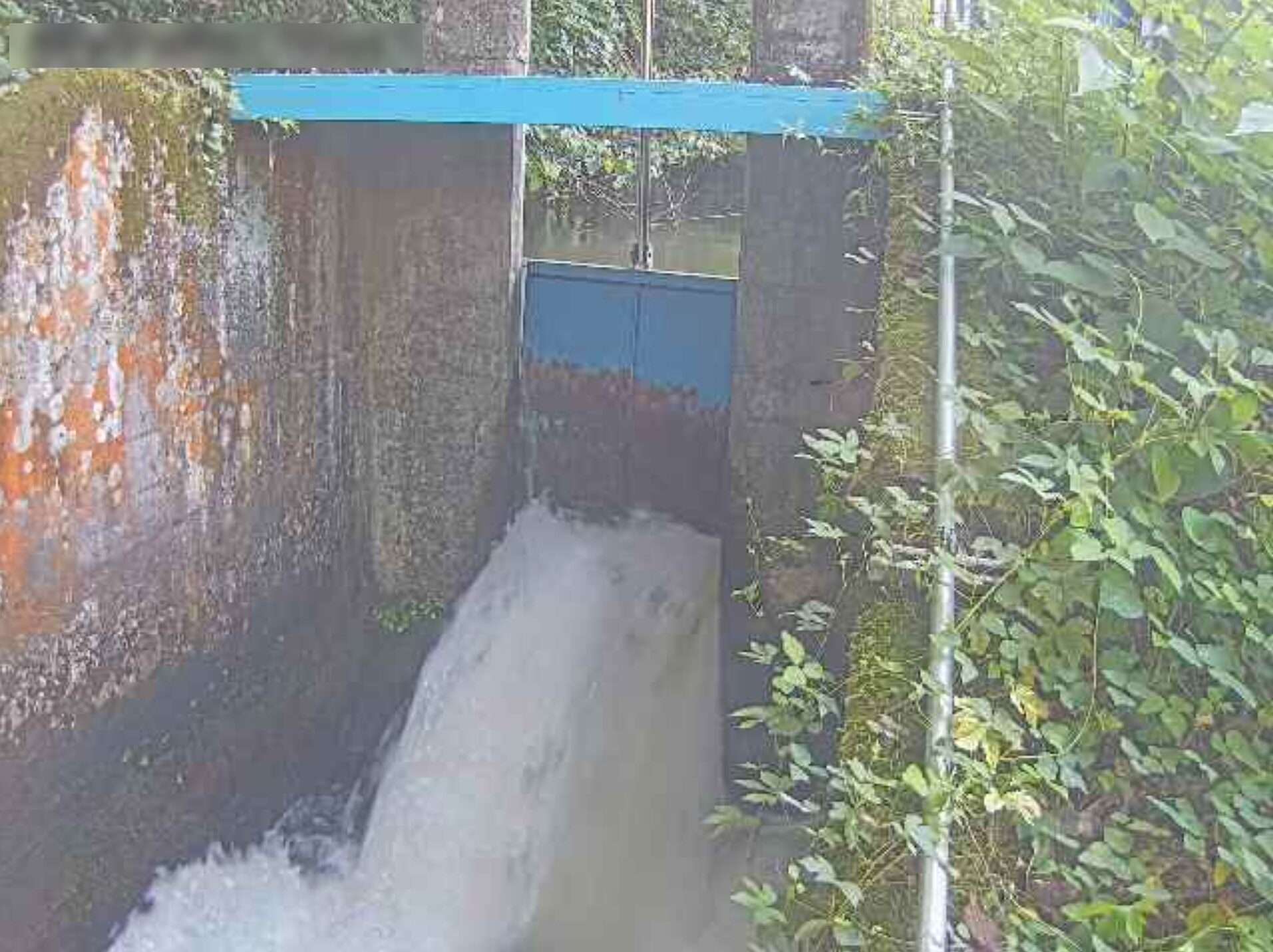 樋ノ口水門取水ライブカメラ(宮城県白石市福岡蔵本)