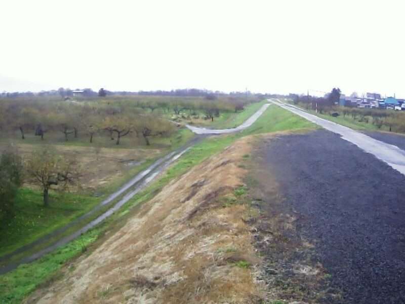 岩木川藤崎ライブカメラ(青森県弘前市青女子)
