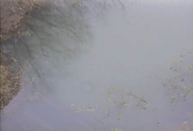 岩木川取水ゲートライブカメラ(青森県五所川原市湊)