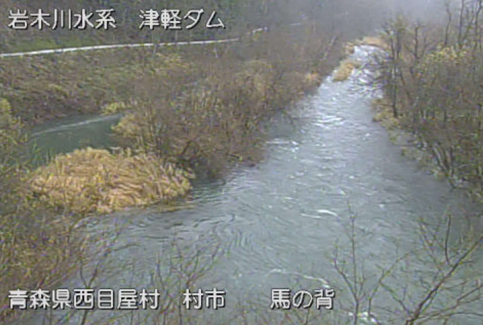 岩木川馬の背ライブカメラ(青森県西目屋村居森平)