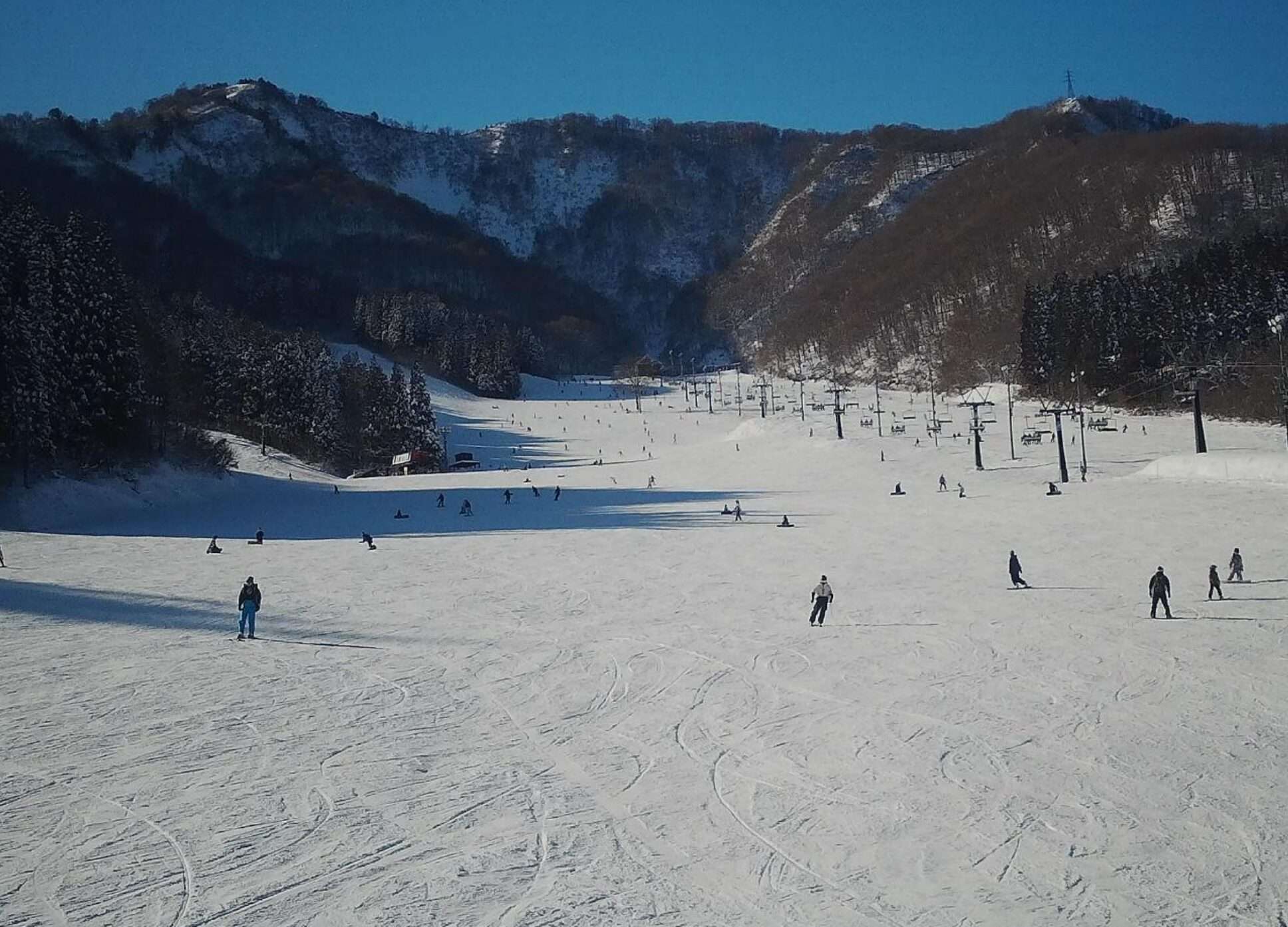 神立スノーリゾートポルックスライブカメラ(新潟県湯沢町神立)
