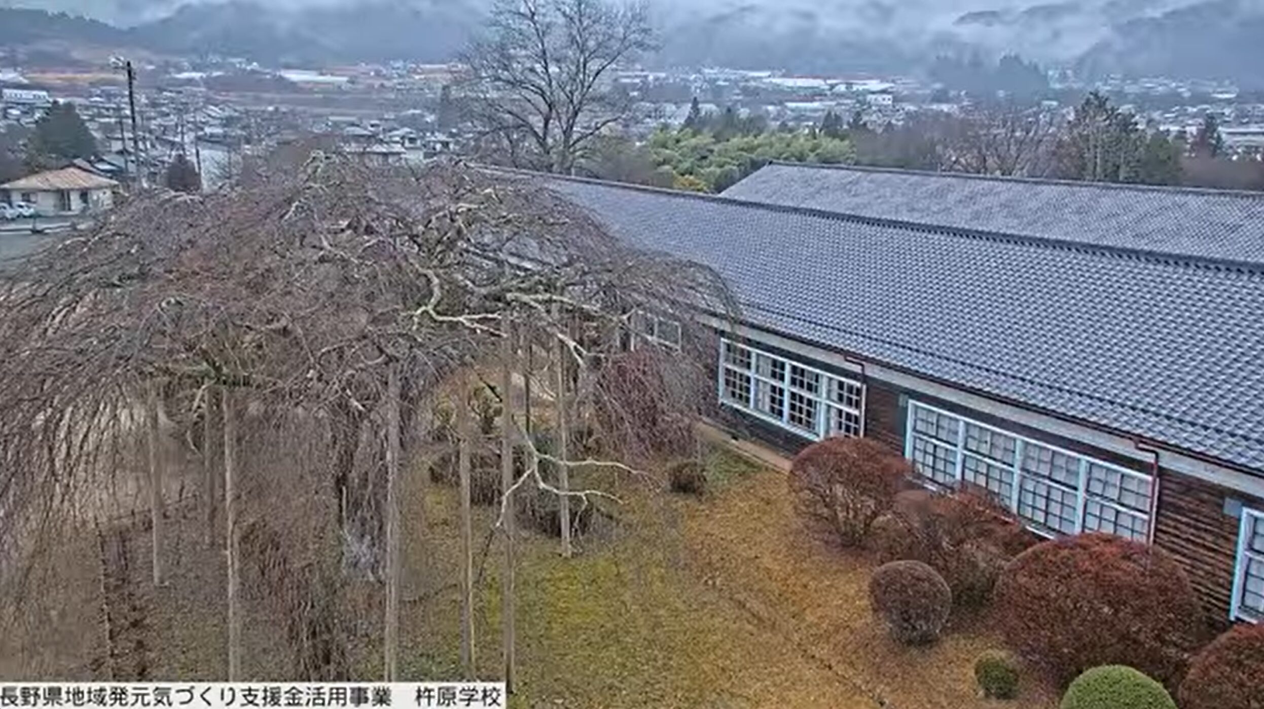 ICTV杵原学校枝垂れ桜ライブカメラ(長野県飯田市竹佐)
