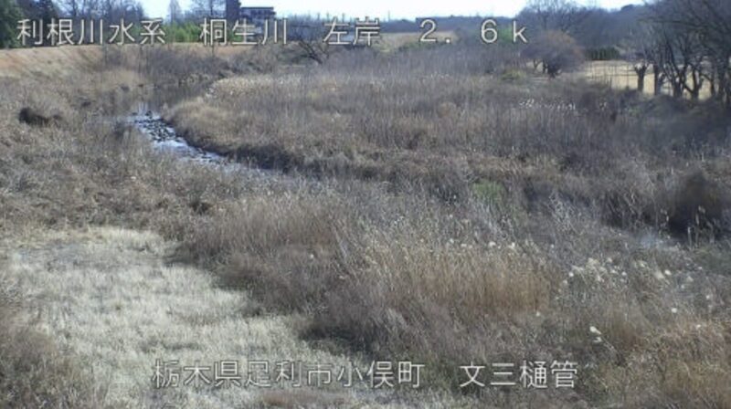 桐生川文三樋管ライブカメラ(栃木県足利市小俣町)