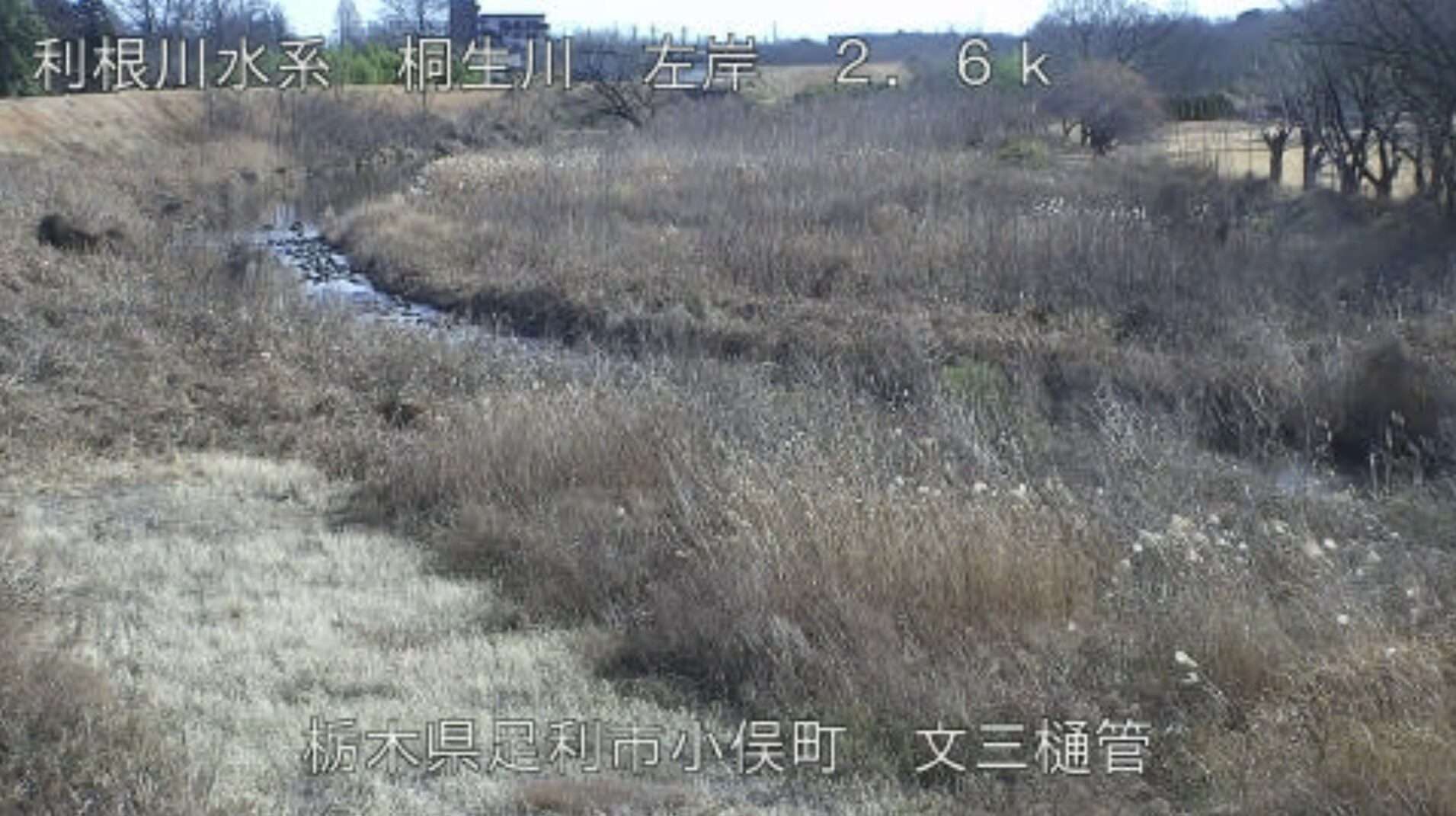 桐生川文三樋管ライブカメラ(栃木県足利市小俣町)