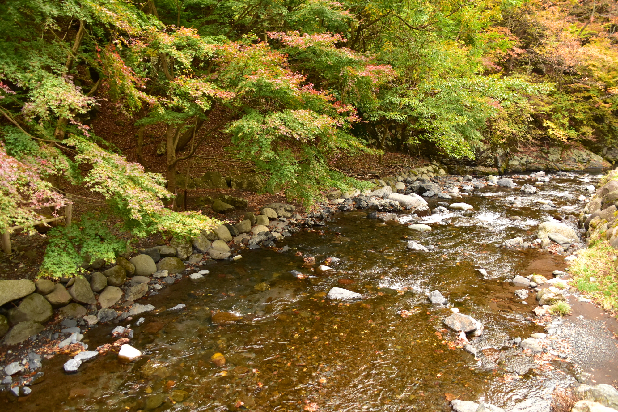小中川(利根川水系)ライブカメラ一覧