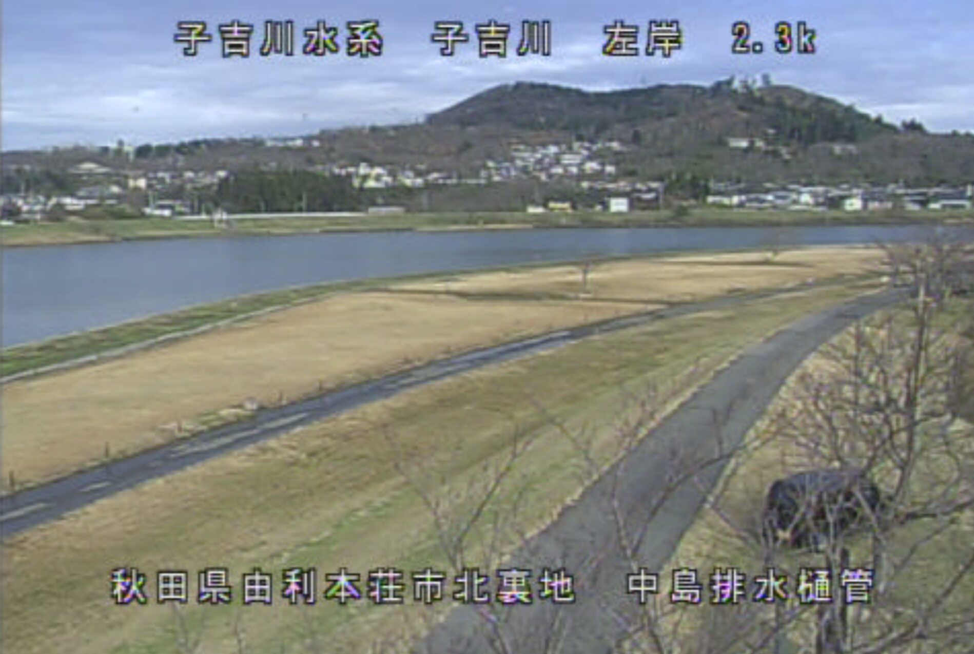 子吉川中島排水樋管ライブカメラ(秋田県由利本荘市北裏地)