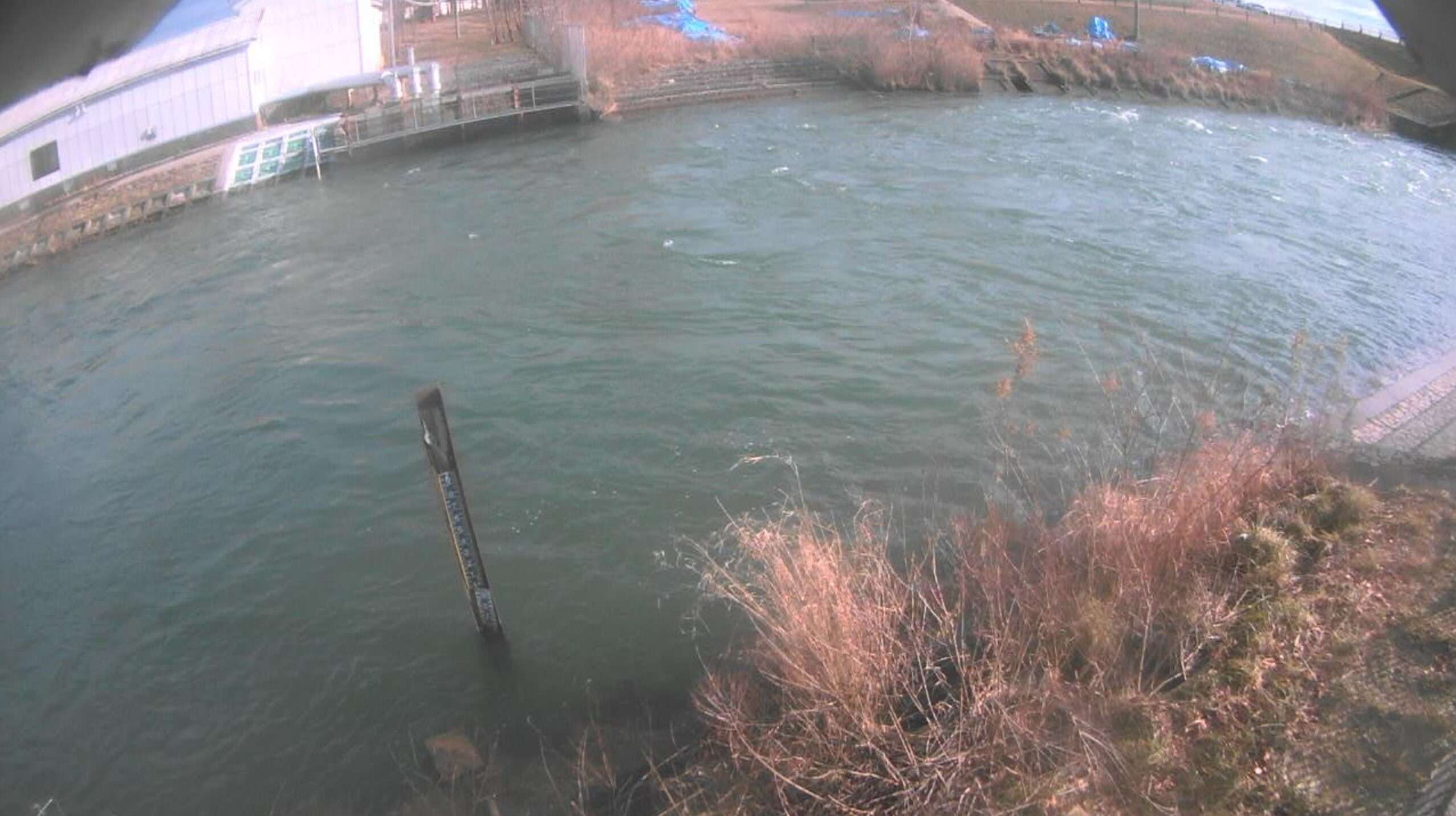 旧雄物川9.2KP左岸ライブカメラ(秋田県秋田市新屋船場町)