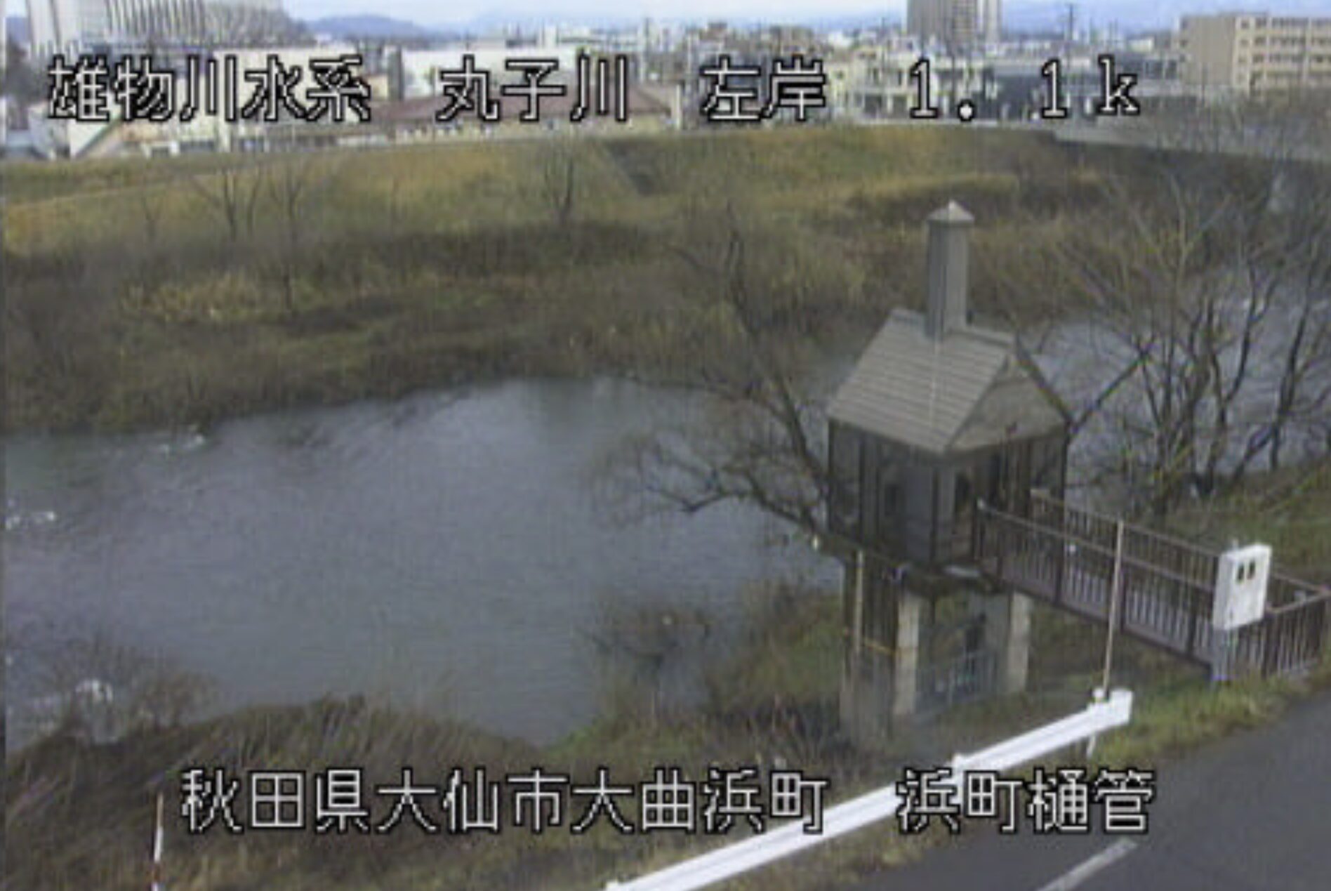丸子川浜町排水樋管ライブカメラ(秋田県大仙市大曲浜町)