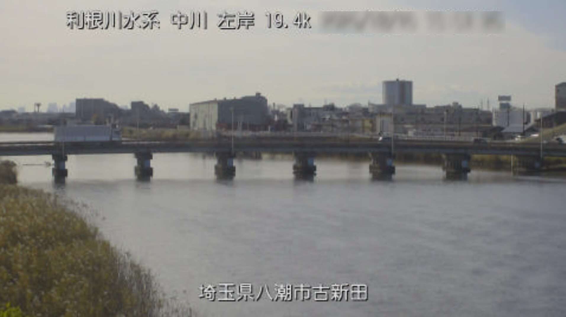 中川古新田ライブカメラ(埼玉県八潮市大瀬)