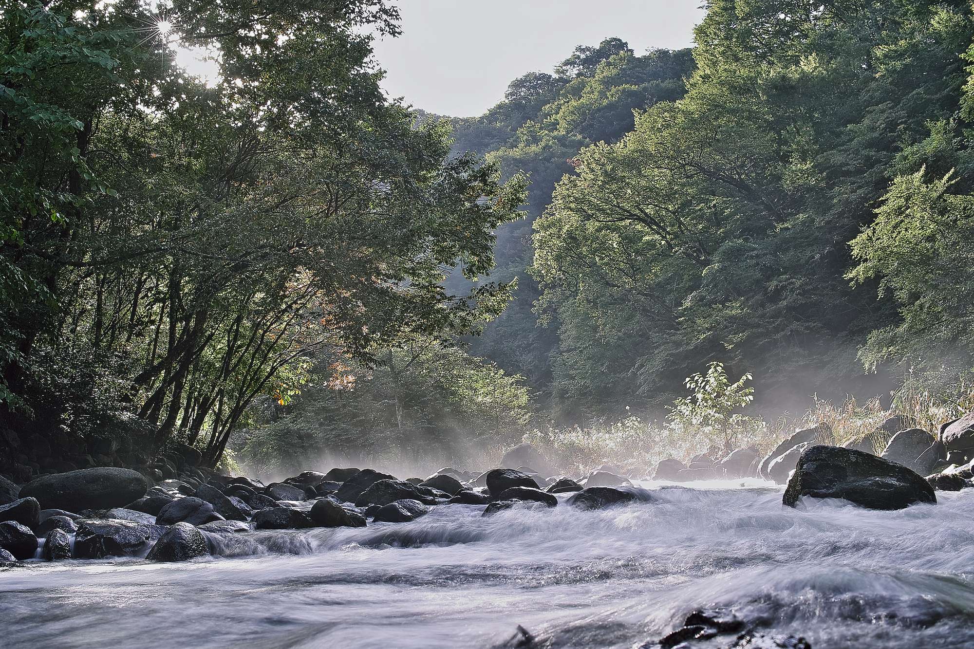 根利川(利根川水系)ライブカメラ一覧