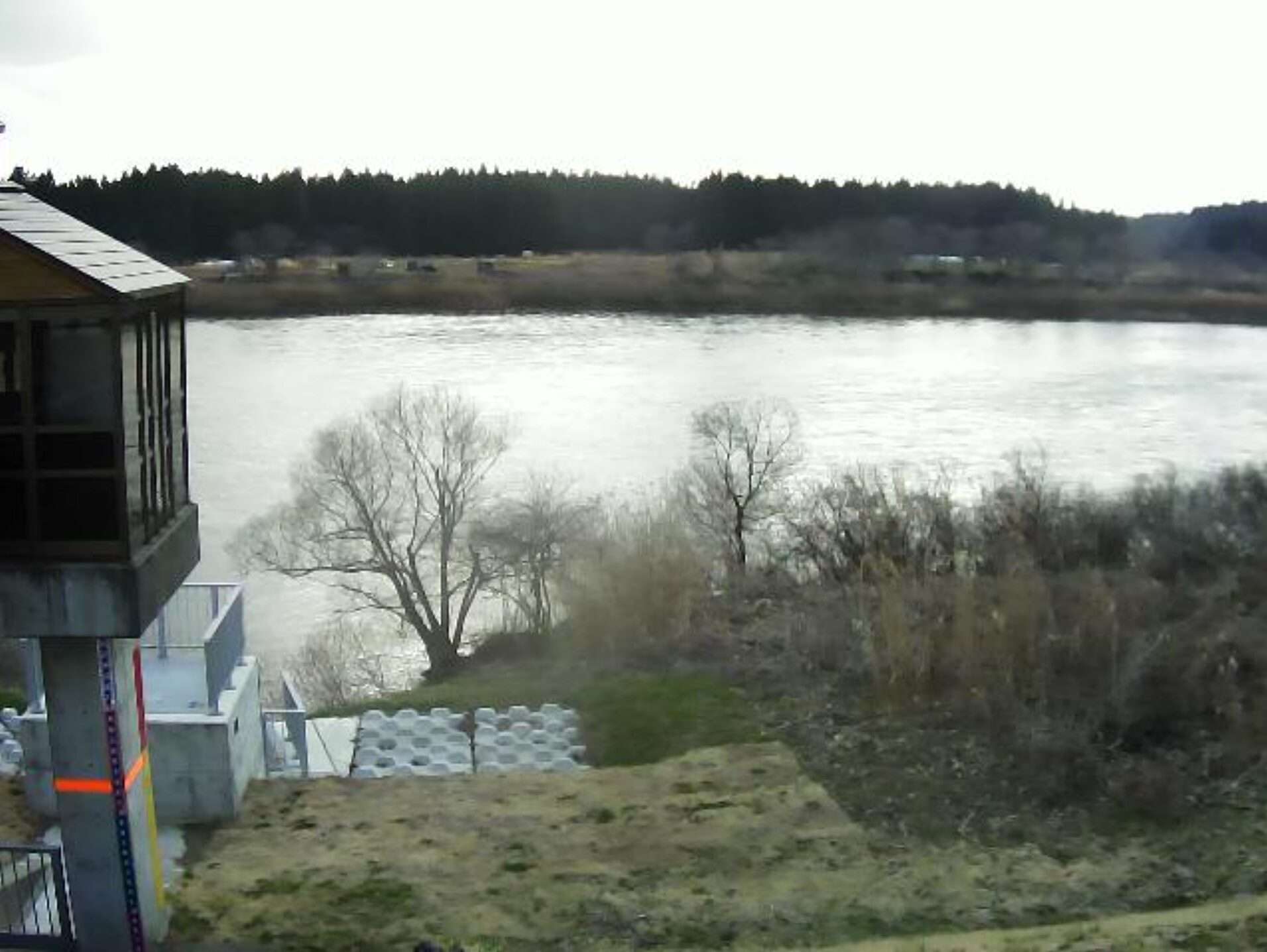 雄物川11.6KP右岸ライブカメラ(秋田県秋田市雄和椿川)