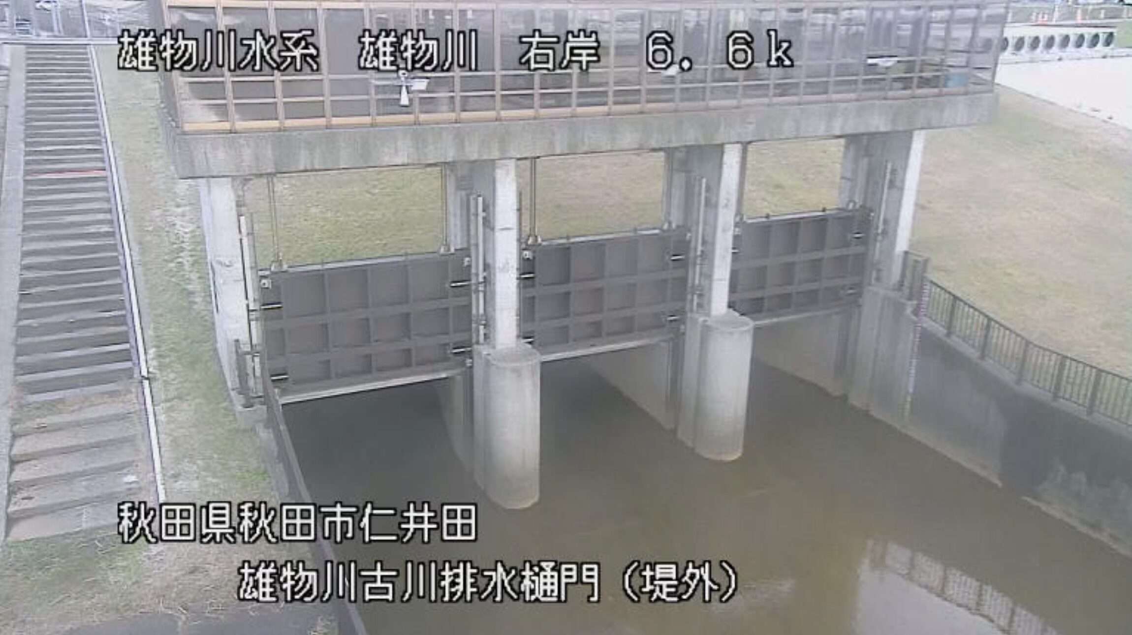 雄物川古川排水樋門堤外側ライブカメラ(秋田県秋田市仁井田)