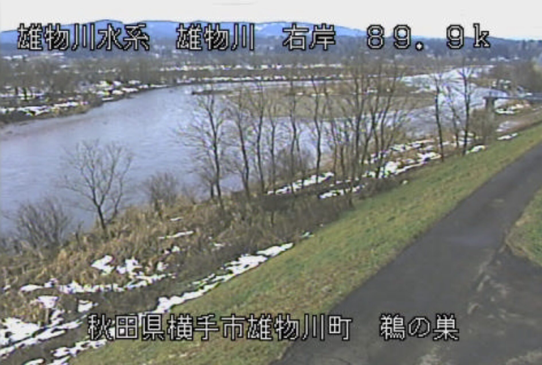 雄物川鵜の巣ライブカメラ(秋田県横手市雄物川町西野)