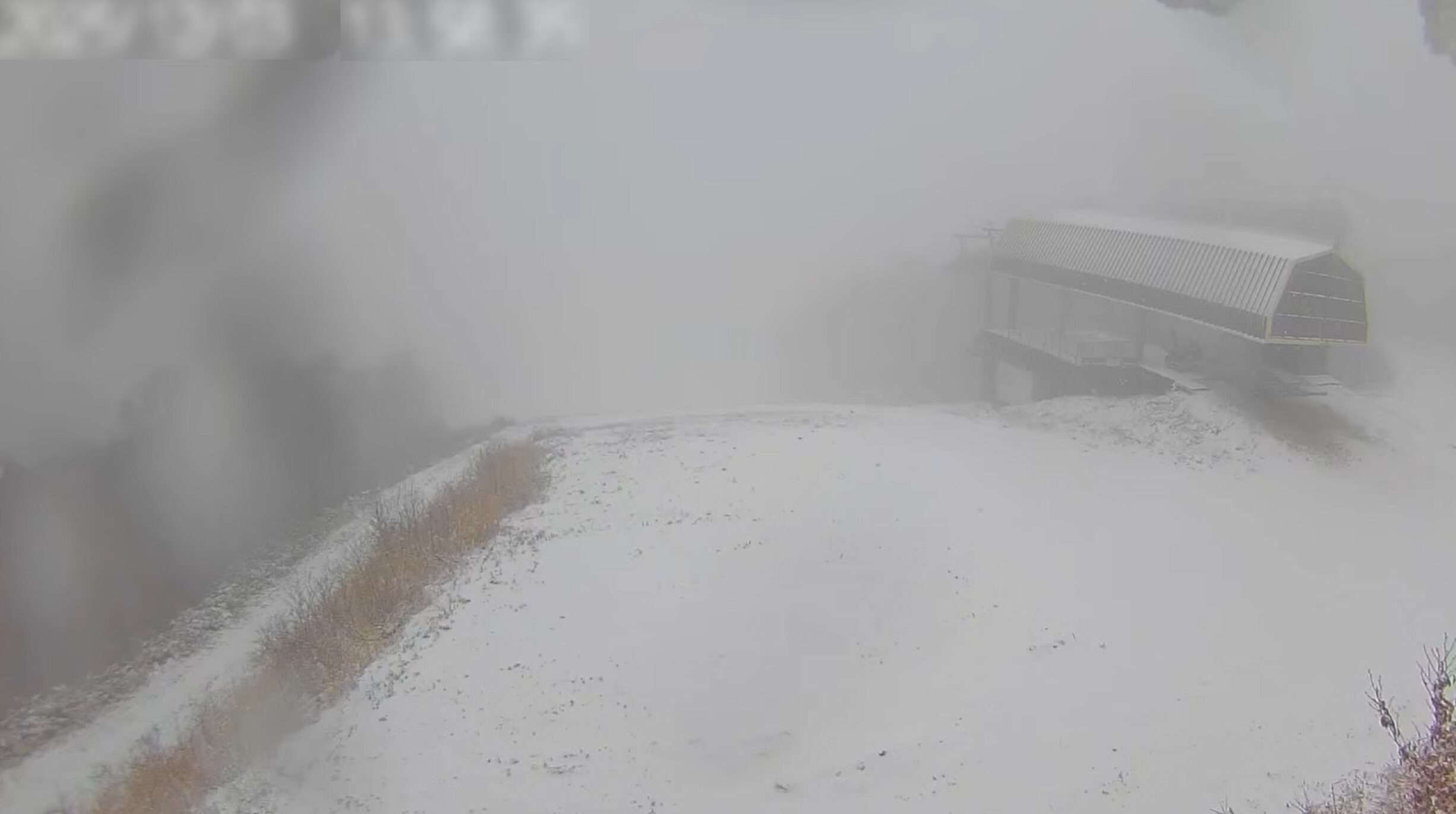 スキージャム勝山ファンタジー頂上ライブカメラ(福井県勝山市芳野)