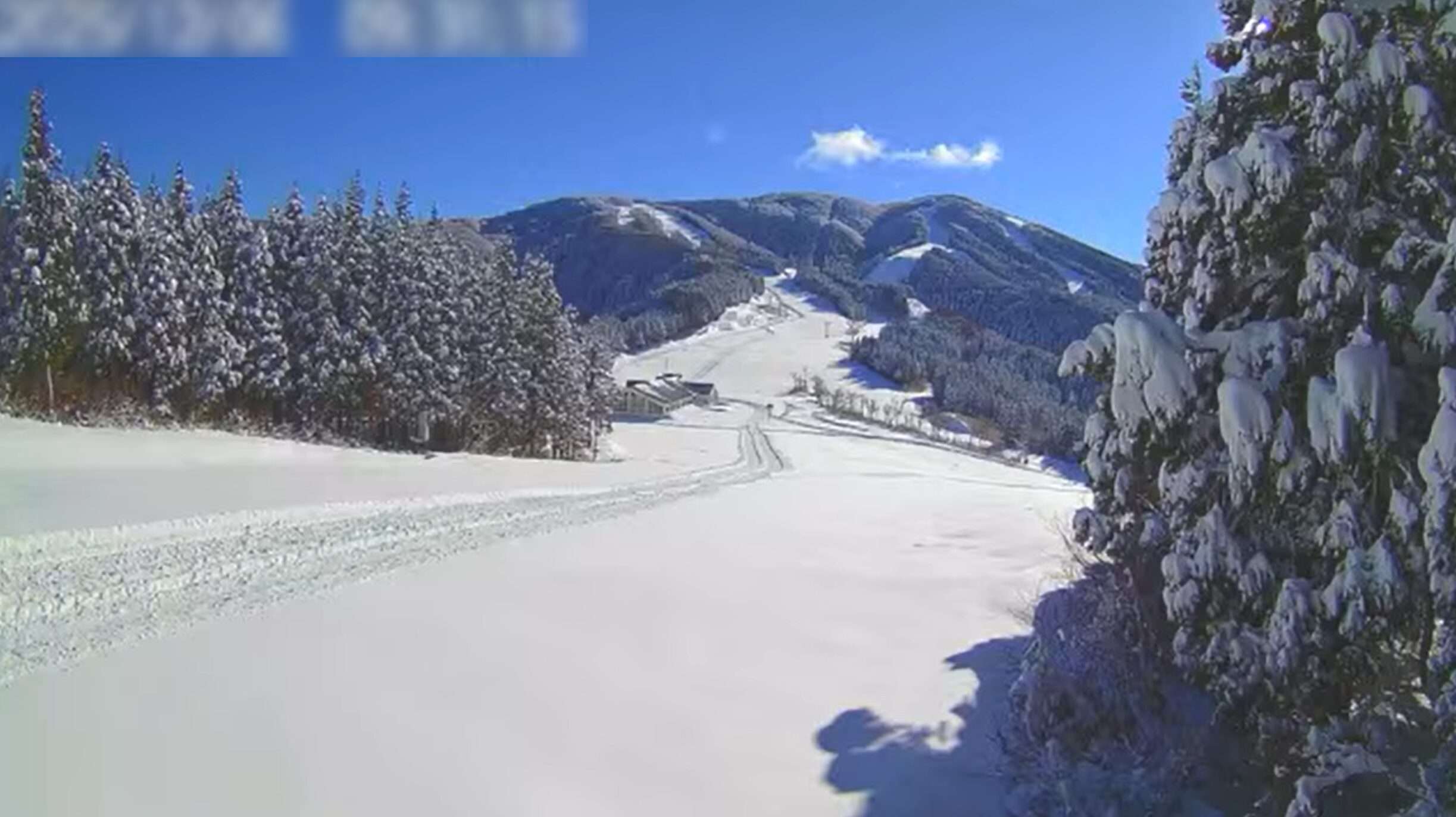 スキージャム勝山バラエティー頂上ライブカメラ(福井県勝山市芳野)