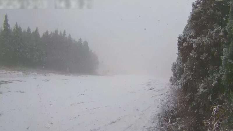 スキージャム勝山バラエティー頂上ライブカメラ(福井県勝山市芳野)