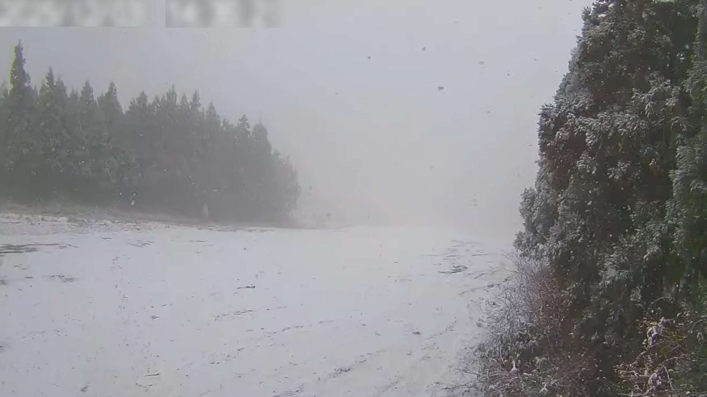 スキージャム勝山ファンタジー頂上ライブカメラ(福井県勝山市芳野)