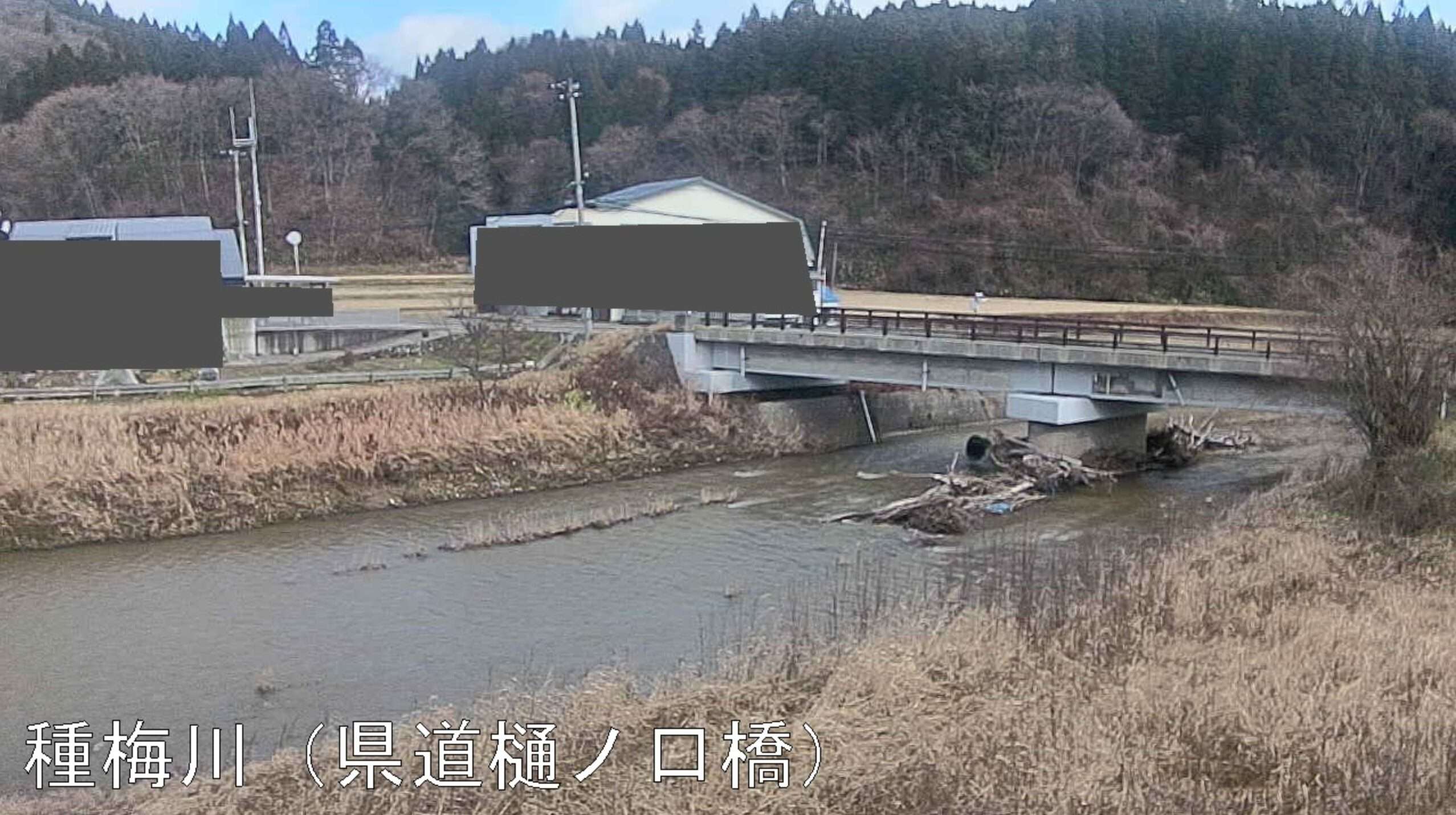 種梅川樋ノ口橋ライブカメラ(秋田県能代市二ツ井町種)