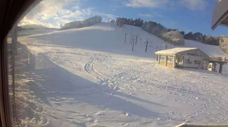 ๅคฉ็ซฅ้ซๅในใญใผๅ ดใฉใคใใซใกใฉ(ๅฑฑๅฝข็ๅคฉ็ซฅๅธ็ฐ้บฆ้)