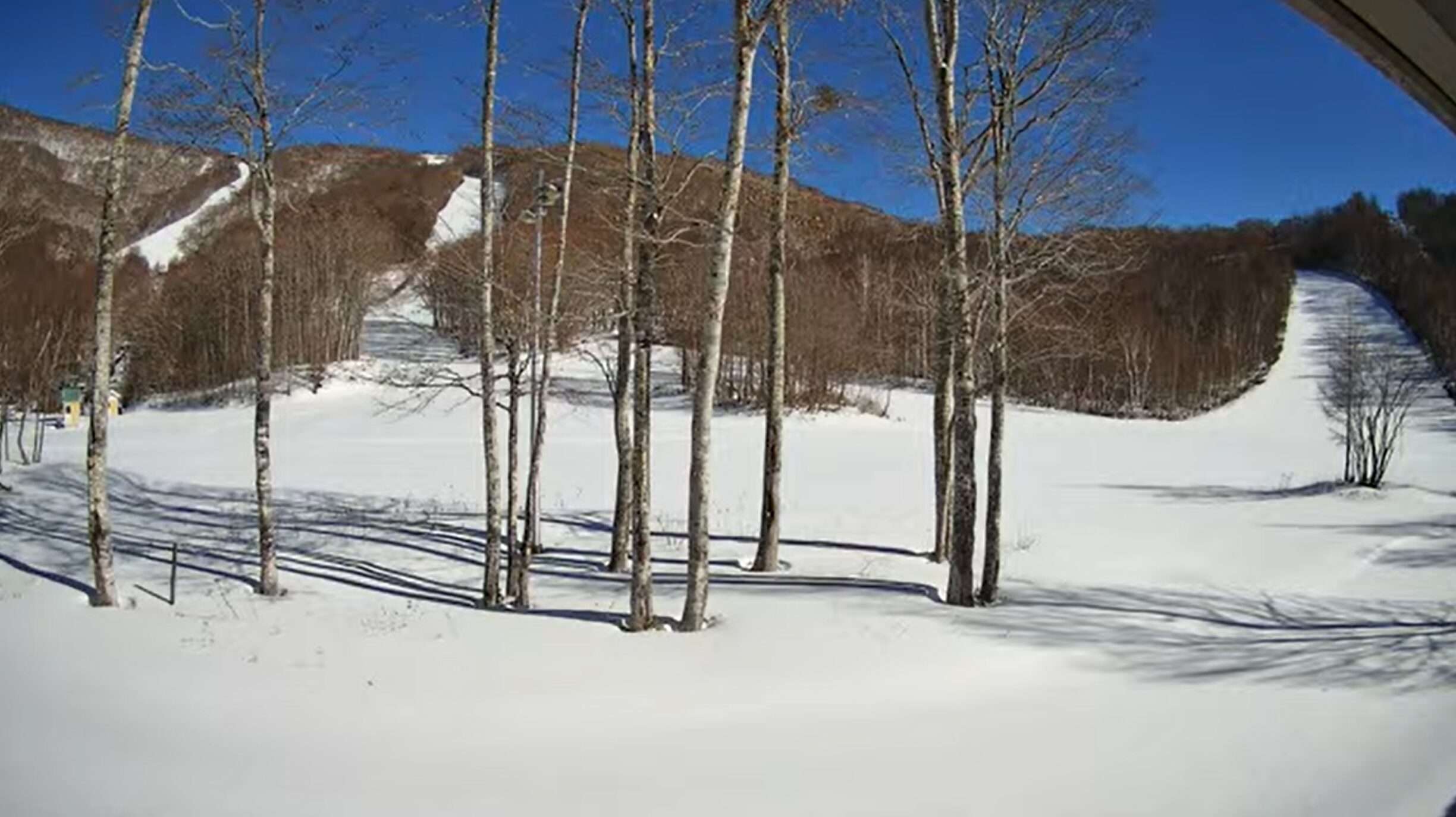 ホワイトワールド尾瀬岩鞍西山ゲレンデレストランホルン前ライブカメラ(群馬県片品村土出)