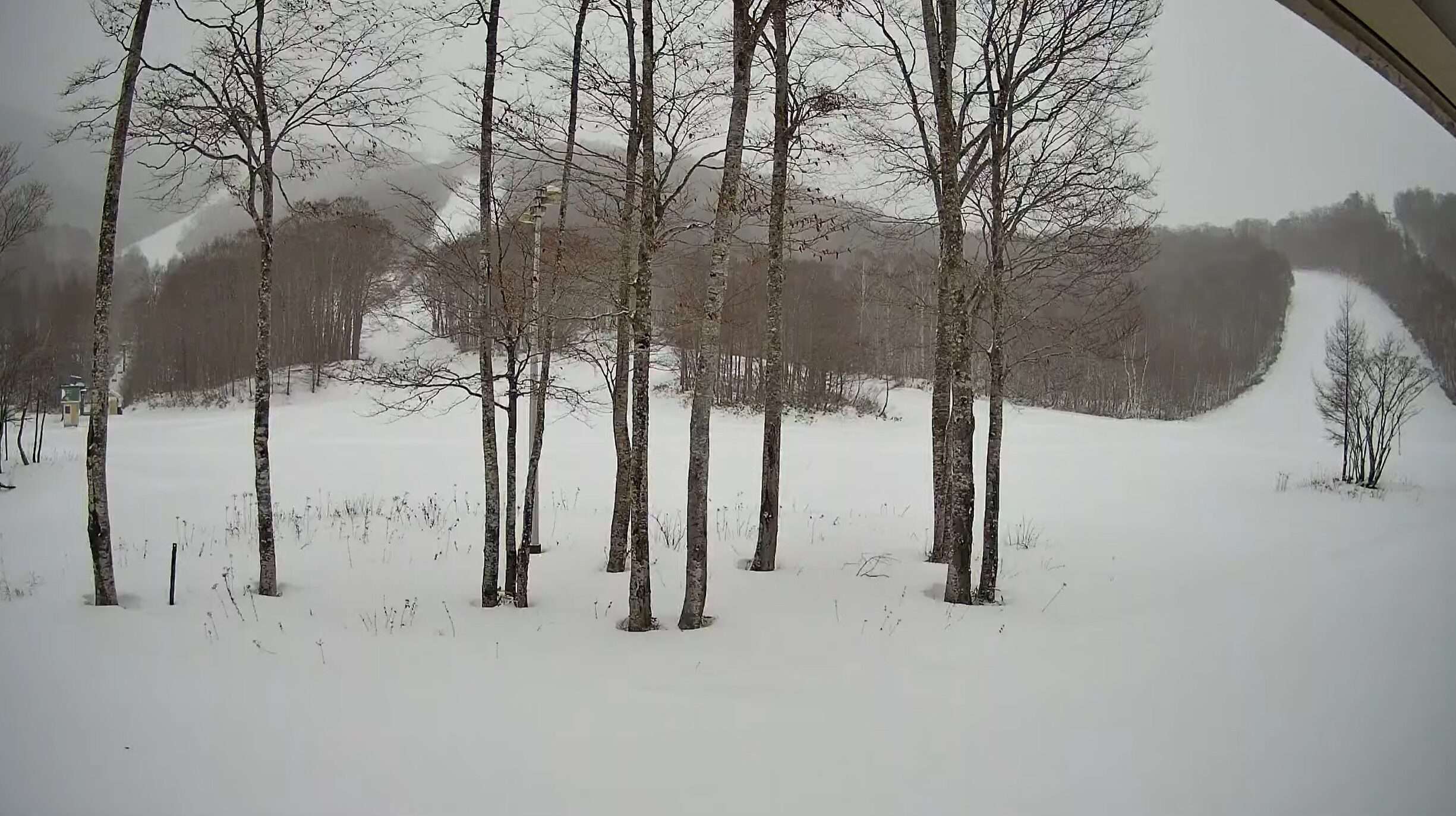 ホワイトワールド尾瀬岩鞍西山ゲレンデレストランホルン前ライブカメラ(群馬県片品村土出)