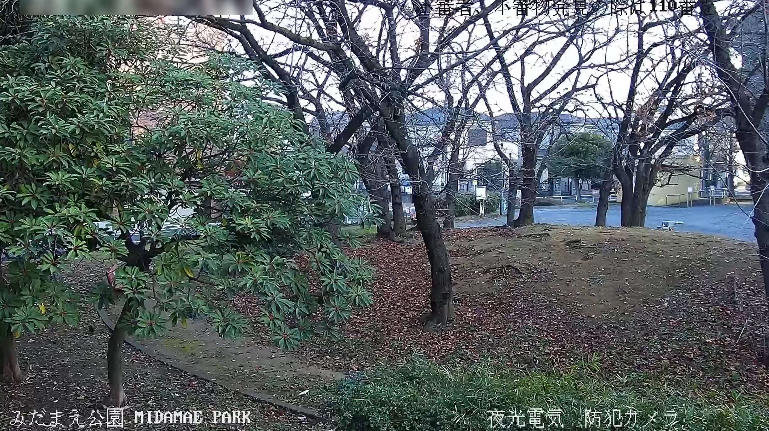 夜光電気足立区立みだまえ公園第2ライブカメラ(東京都足立区谷在家)