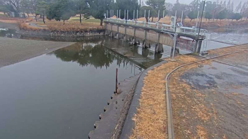 谷田川八間樋頭首工ライブカメラ(群馬県板倉町板倉)