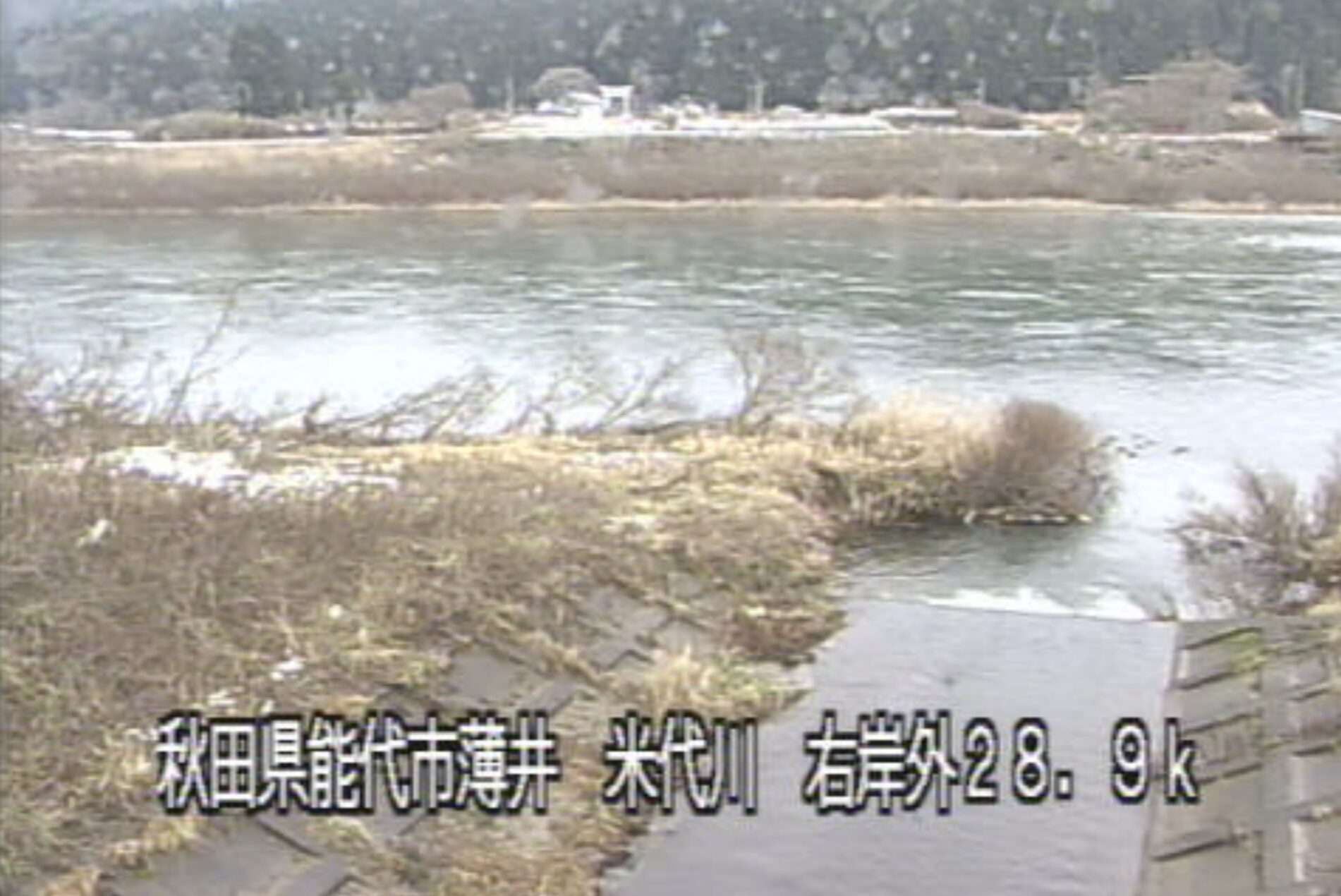 米代川比井野川救急排水機場堤外ライブカメラ(秋田県能代市二ツ井町下野川端)