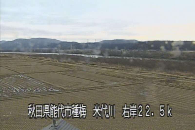 米代川種梅ライブカメラ(秋田県能代市二ツ井町種)