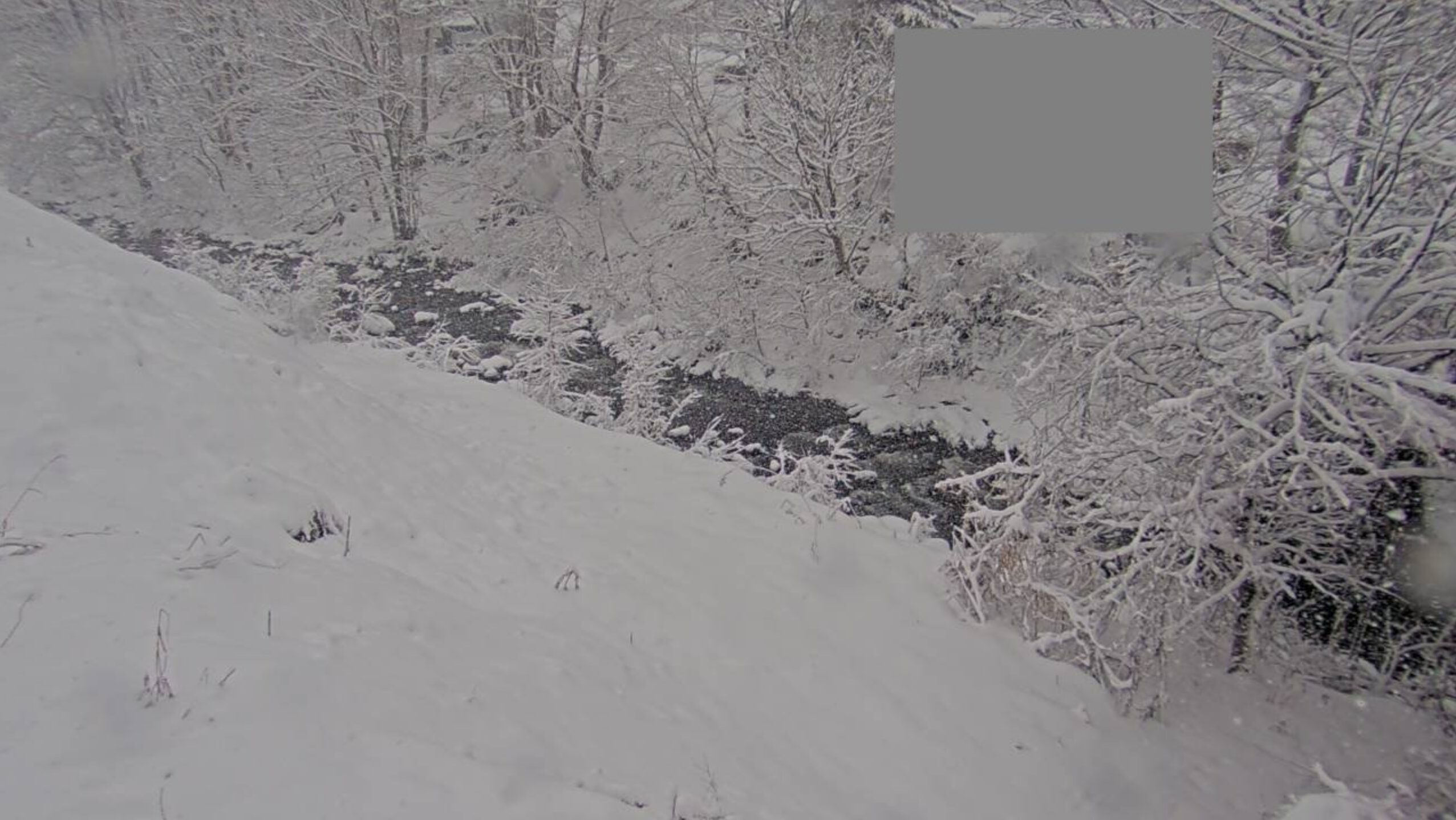 湯ノ小屋沢川新湯ノ小屋橋ライブカメラ(群馬県みなかみ町藤原)