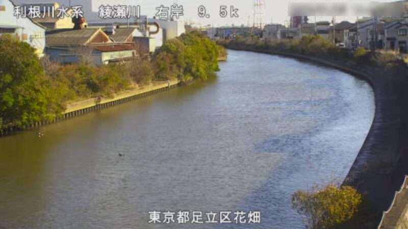 綾瀬川花畑ライブカメラ(東京都足立区花畑)