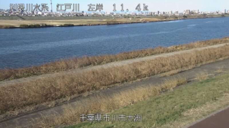 江戸川大洲ライブカメラ(千葉県市川市大洲)