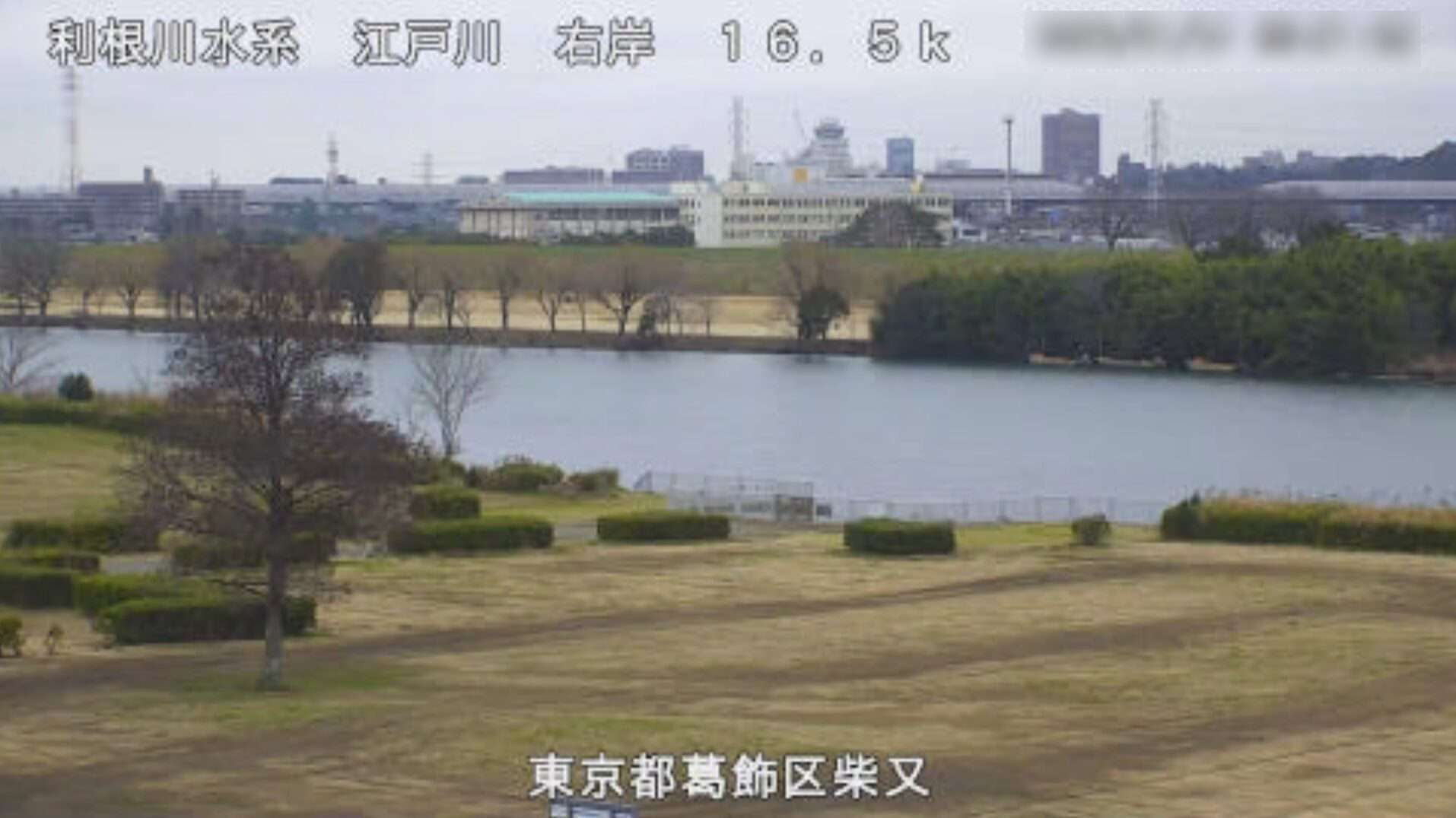 江戸川柴又ライブカメラ(東京都葛飾区柴又)